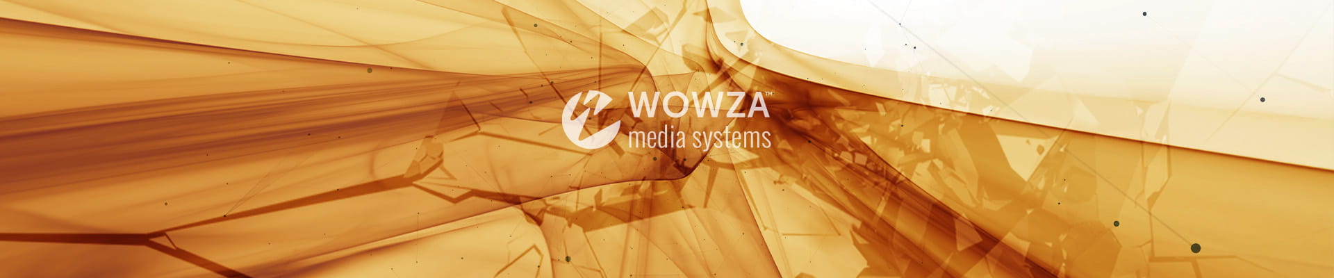 Wowza Streaming Engine 動作環境